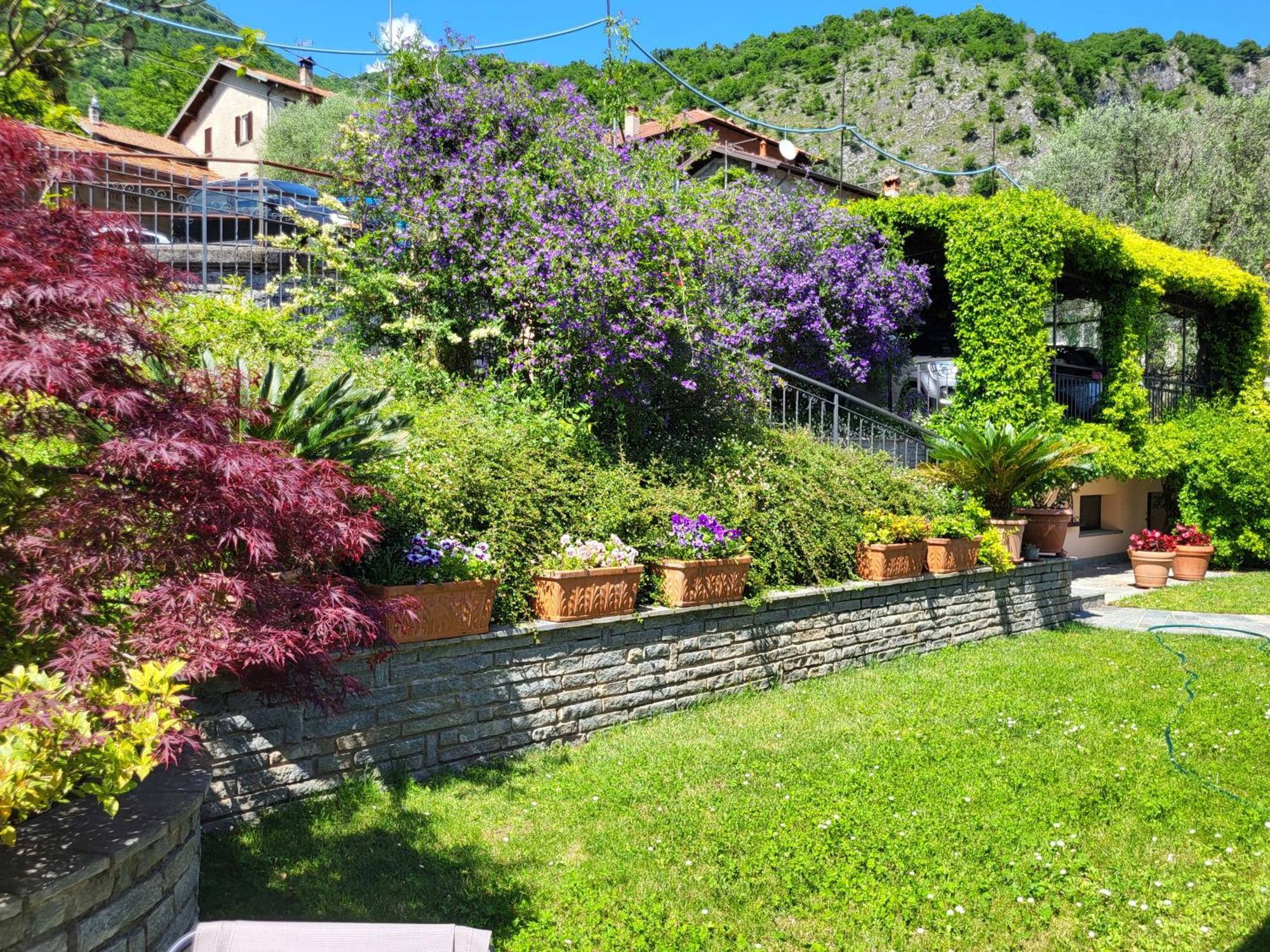 Casa Intignano - Appartamento Con Terrazzo Vista Lago Тремеццо Экстерьер фото